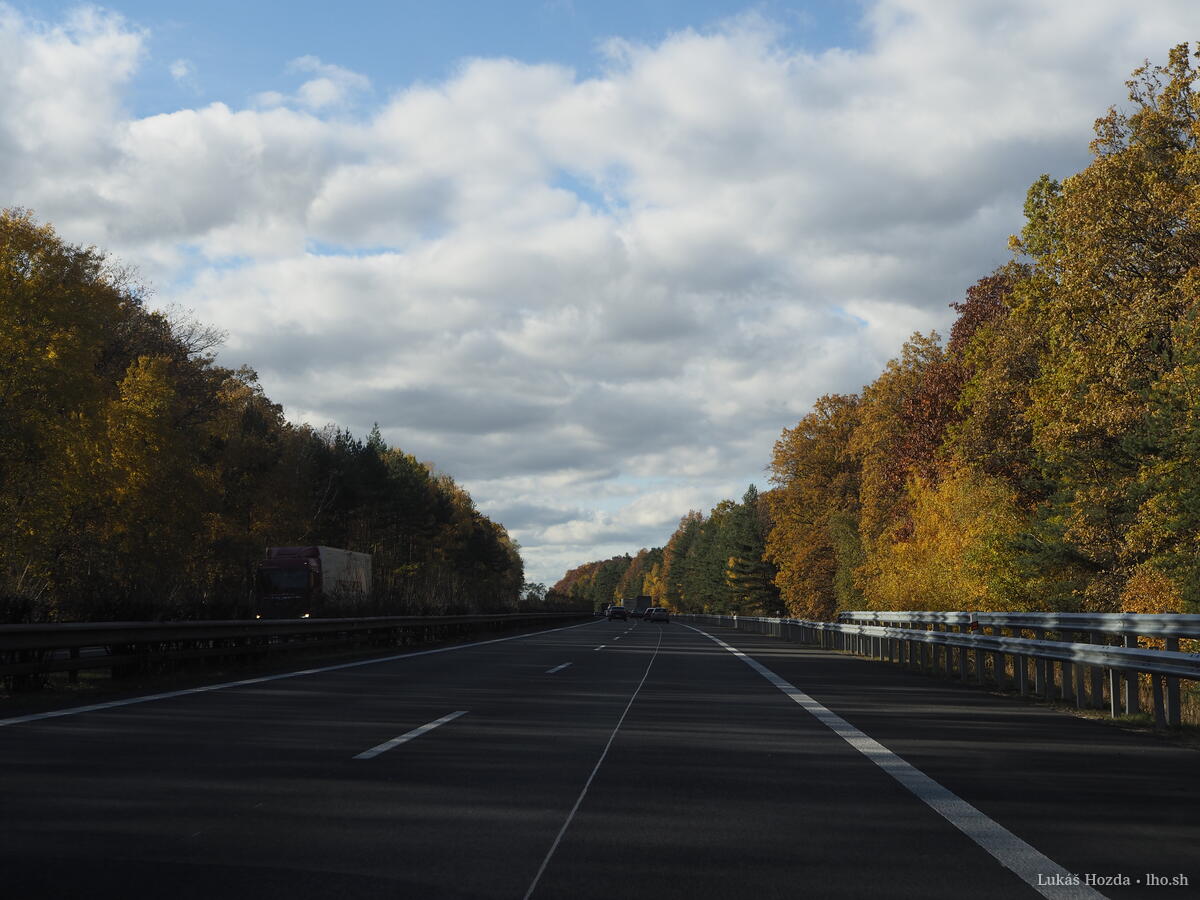 Empty Autumn Highway Trees