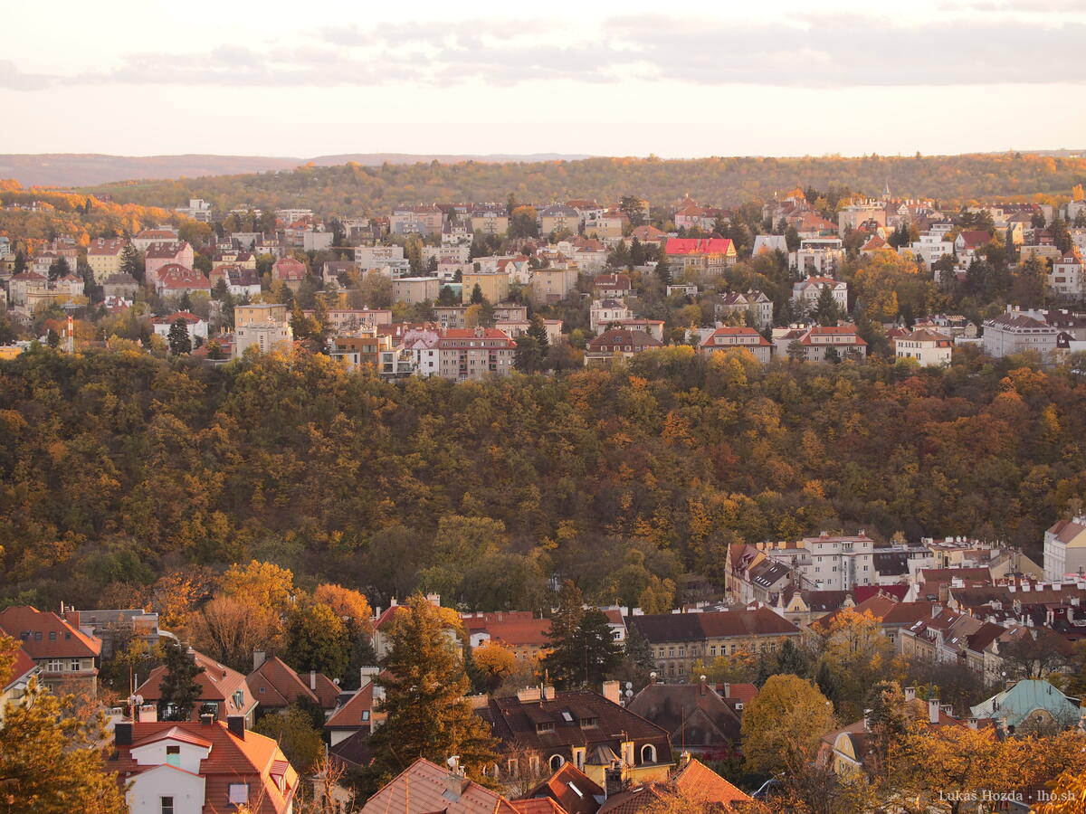 Houses Among Trees in Prague