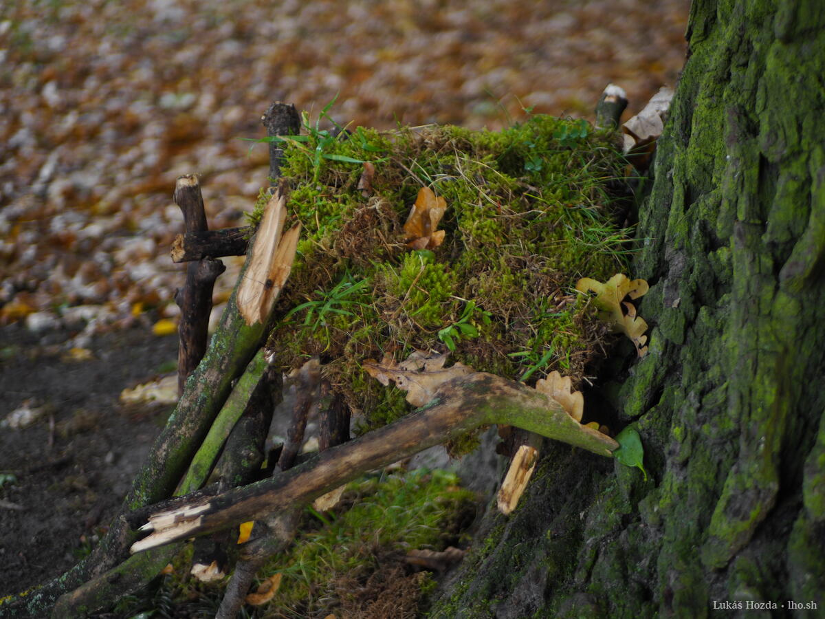 Toy Mossy Kid Stick House