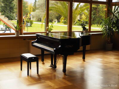 Classic Petrof Piano