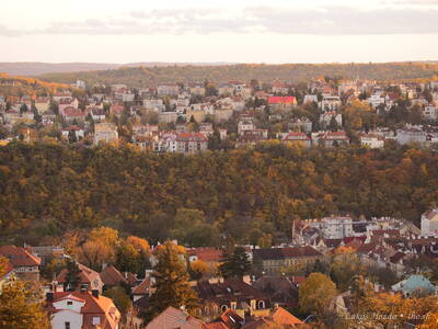 Houses Among Trees in Prague